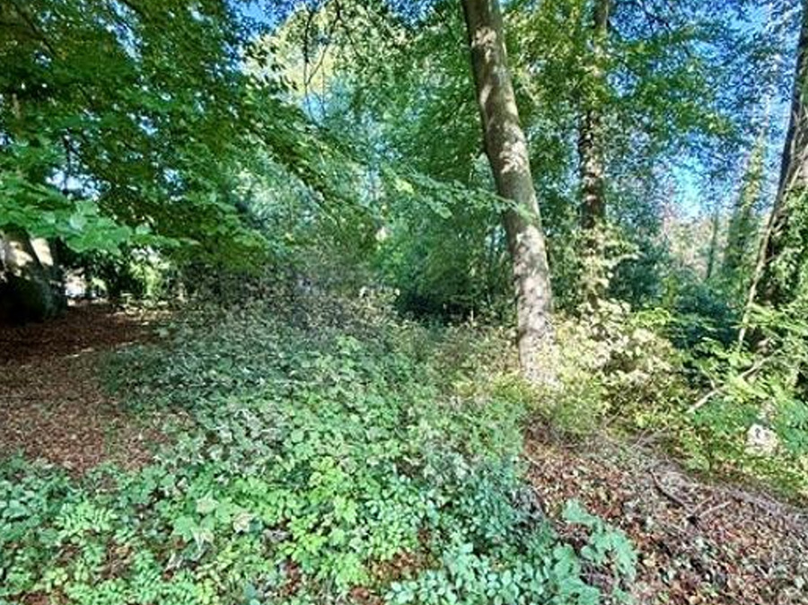 Baugrundstück in Solingen-Wald