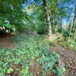 Baugrundstück in Solingen-Wald